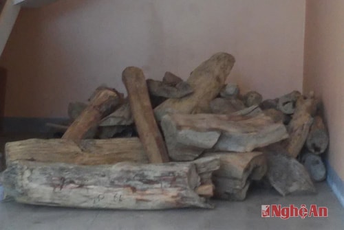 Bắt xe ô tô khách chở gỗ trắc lậu