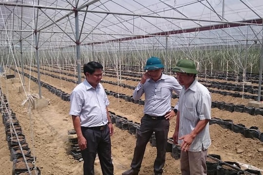 Dự án nông nghiệp công nghệ cao đầu tiên tại Thanh Hóa sắp hoàn thành