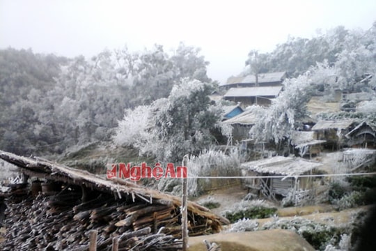 Rét kỷ lục, băng tuyết phủ trắng các dãy núi ở Nghệ An