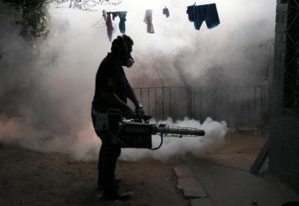 Virus gây teo não bào thai có nguy cơ lây lan khắp châu Mỹ