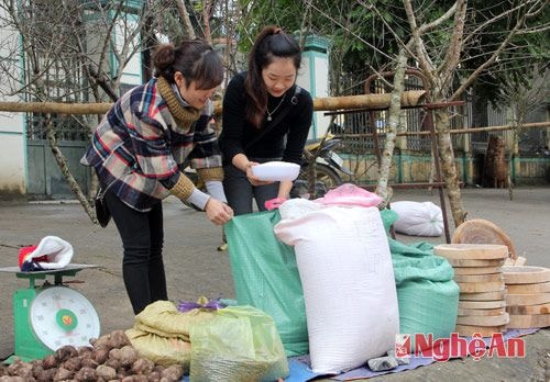 "Đặc sản" vùng cao về xuôi