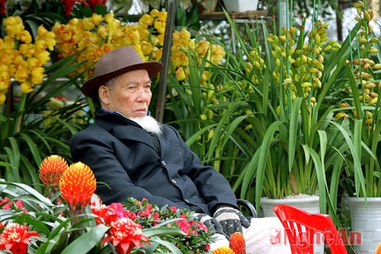 Nét Xuân phố Vinh dưới bộ ảnh của nghệ sĩ không chuyên