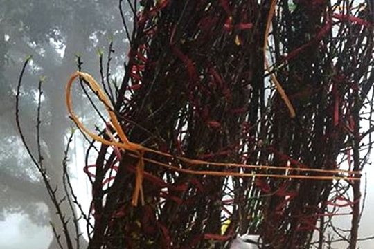 Đưa Tết về xuôi