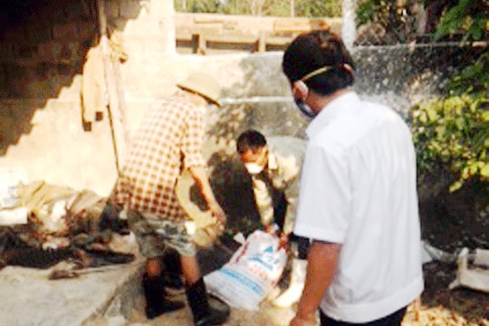 Diễn Châu: Hơn 3.000 con gia cầm bị dịch H5N6