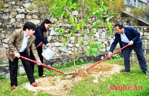 Đoàn ĐBQH và HĐND tỉnh trồng cây đầu Xuân tại khu mộ bà Hoàng Thị Loan