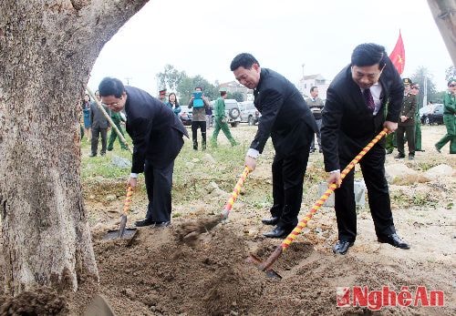 Nghệ An đặt mục tiêu trồng mới hơn 16.000 ha rừng năm 2016