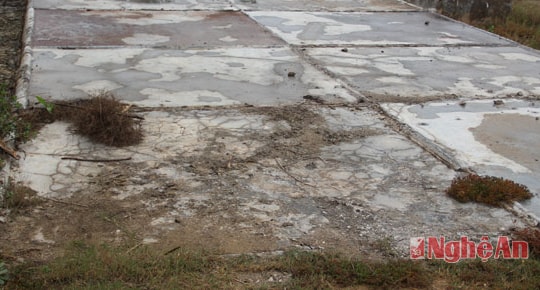 An Hòa - Quỳnh Lưu: Xót xa cánh đồng muối