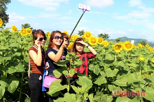 Nghệ An cam kết tạo sự thay đổi mạnh mẽ để thúc đẩy du lịch phát triển