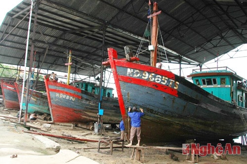 Những mô hình Hợp tác xã thành công ở Nghệ An