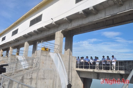 Nghệ An đón nhận 20.434 tỷ đồng đầu tư vào nông nghiệp