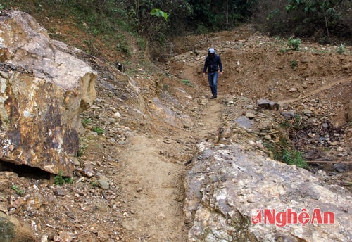 Đường gần 200 tỷ đồng để chăn dê