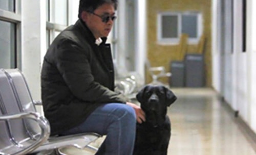 Trả lại chó cho người mù, kẻ trộm xin tha lỗi