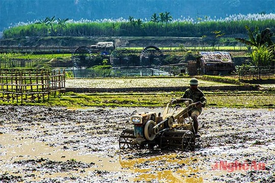 Diễn Hạnh (Diễn Châu): Thu nhập bình quân đầu người đạt 32 triệu đồng/năm