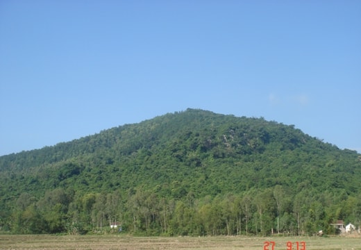 Phát hiện thi thể người đàn ông đang phân hủy trên đồi thông