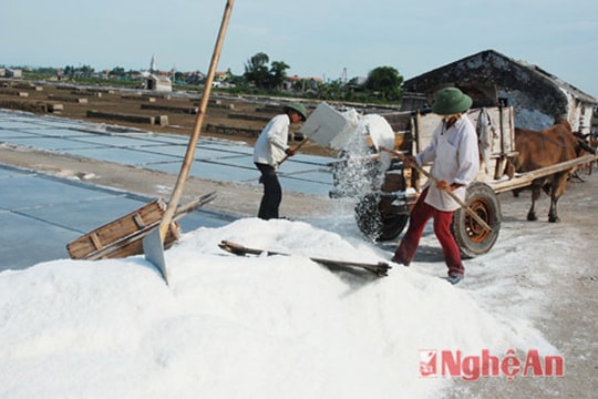 Diêm dân gặp khó vì muối