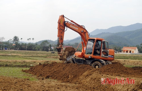 Tiếp sức cho những cánh đồng mẫu lớn