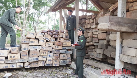 Đội kiểm lâm cơ động PCCCR số 3 tịch thu 54,64 khối gỗ các loại.