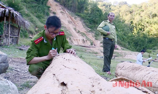 Cái giá của sự buông lỏng quản lý
