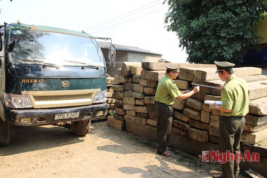 Thu giữ 10 khối gỗ trái phép