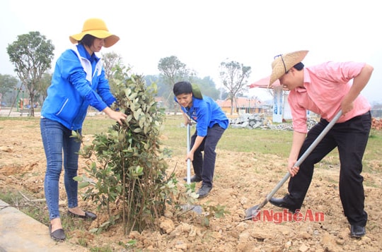 Nghệ An: Trồng hoa sim tại Khu Di tích lịch sử Truông Bồn