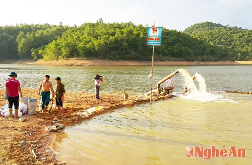 Nông dân Nghệ An tiết kiệm nước, chuyển đổi cơ cấu cây trồng chống hạn