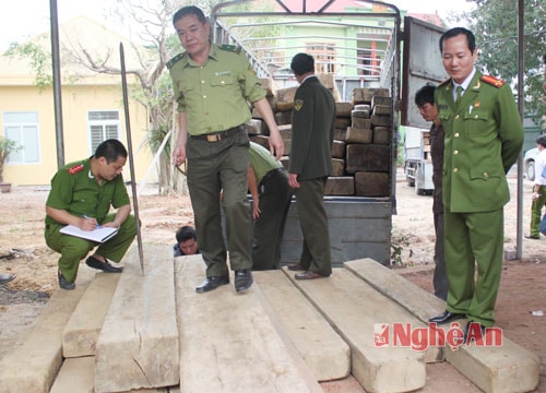 Công an Nghệ An thu giữ hơn 20m3 gỗ kinh doanh trái phép