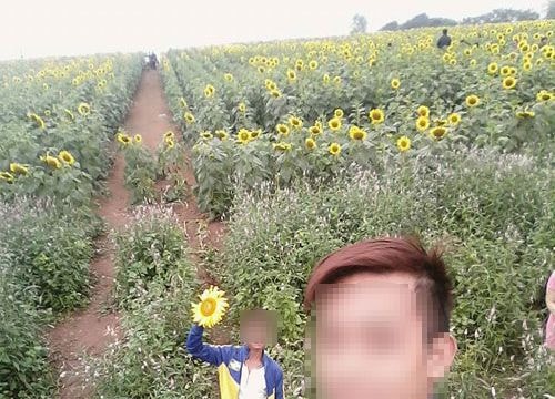 Hình ảnh trái chuẩn mực đạo đức không được đưa lên mạng