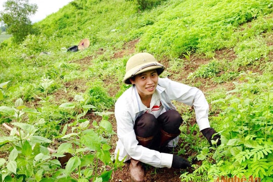 Chàng trai chăn dê Nghệ An lại gây sốt với bản cover đường tình đôi ngả