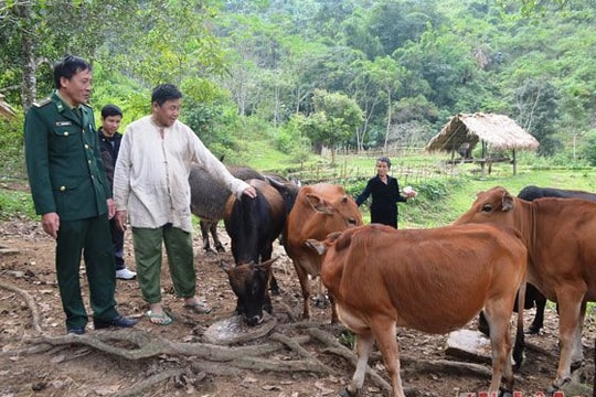 Phấn đấu đến 2020  thu nhập bình quân khu vực miền núi Nghệ An đạt 52 triệu đồng