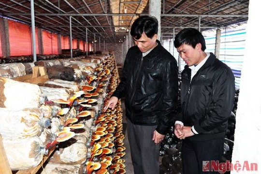 Nhiều giải pháp nâng cao chất lượng sinh hoạt chi bộ ở Yên Thành