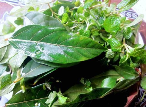 Bài thuốc dân gian "khắc tinh" của bệnh trĩ