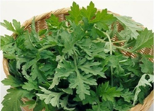 Bài thuốc chữa bầm tím do ngã hiệu quả