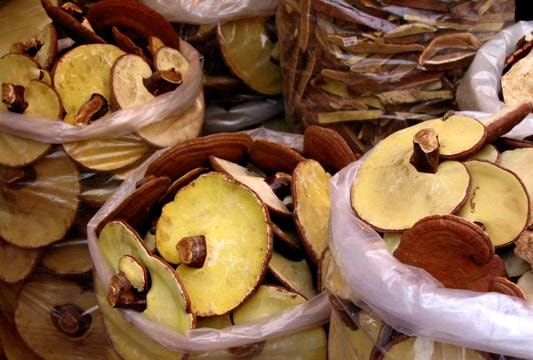 Để an toàn khi dùng thuốc Đông y