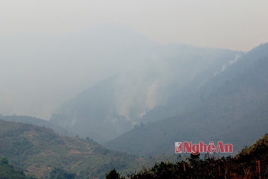 Nghệ An: Cháy rừng khu vực biên giới Na Ngoi, hàng trăm người đi dập lửa