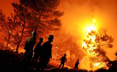 Lính cứu hoả nước ngoài chữa cháy rừng như thế nào?