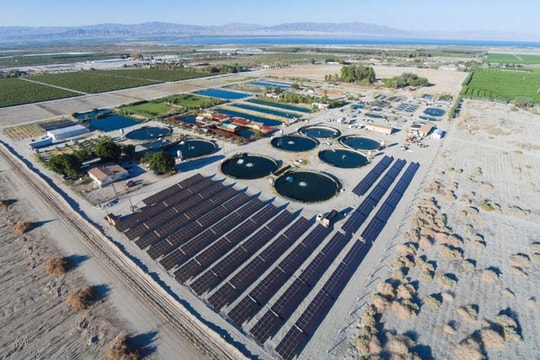 Công nghệ nuôi cá trên sa mạc khiến cả thế giới khâm phục của Israel