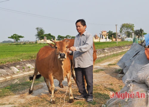 6.000 hộ mới thoát nghèo ở Nghệ An được vay vốn phát triển kinh tế