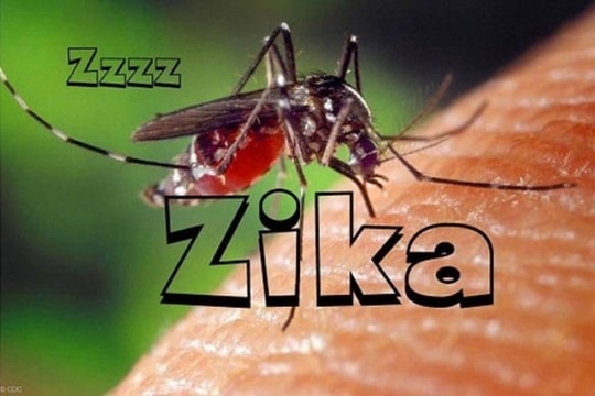 Việt Nam lập 4 đội phòng chống virus Zika