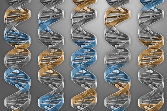 Tạo ra sự sống nhân tạo từ 473 gen: bước tiến vĩ đại của con người
