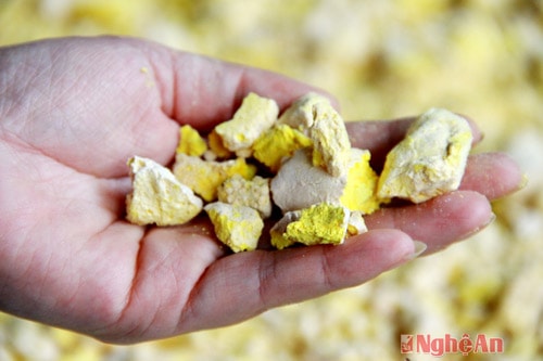 Chế biến tinh nghệ - nghề "tay trái hái ra tiền"