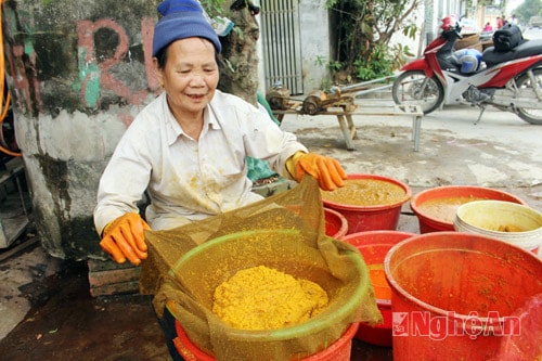 Chế biến tinh bột nghệ, nghề mới ở Quỳnh Hậu