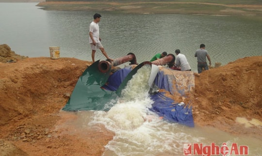 Nghi Lộc tập trung chăm sóc lúa xuân