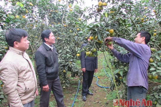 Quyền sở hữu trí tuệ đối với đặc sản địa phương