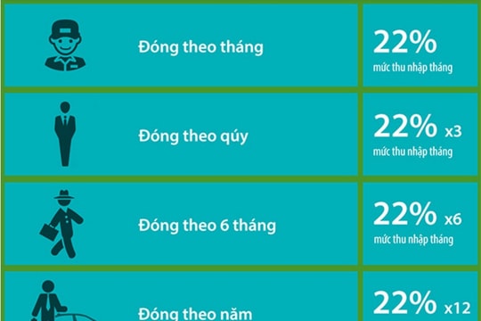 [Infographics]-Các mức đóng bảo hiểm xã hội tự nguyện