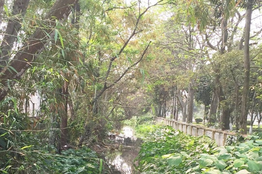 Namyangju (Hàn Quốc) hỗ trợ 20 tỷ đồng xây dựng đường ở TP Vinh