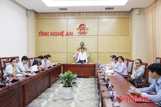 Nghệ An: Trồng gần 140.000 ha rừng gỗ lớn đến năm 2025