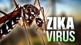 TP HCM công bố dịch Zika