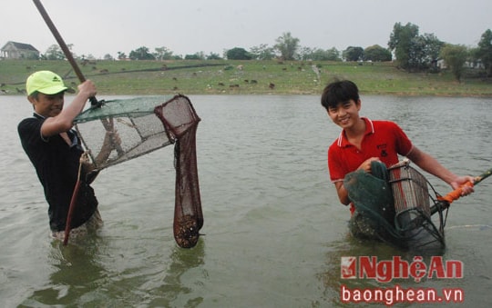 Cận cảnh mùa cào hến trên Sông Lam