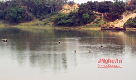 Nam sinh viên ĐH Vinh chết đuối khi làm thuê trên tàu hút cát