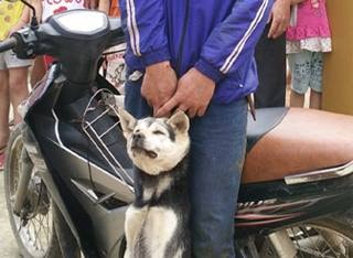 'Cẩu tặc' cầm gạch đập đầu chủ nhà khi bị phát hiện